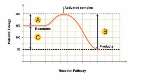 1. Based on the graph above, what ca you tell about the chemical reaction.

2. Is the graph above