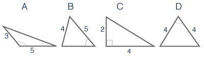 Ella calculated the missing side length of one of these triangles using the Pythagorean Theorem. Wh