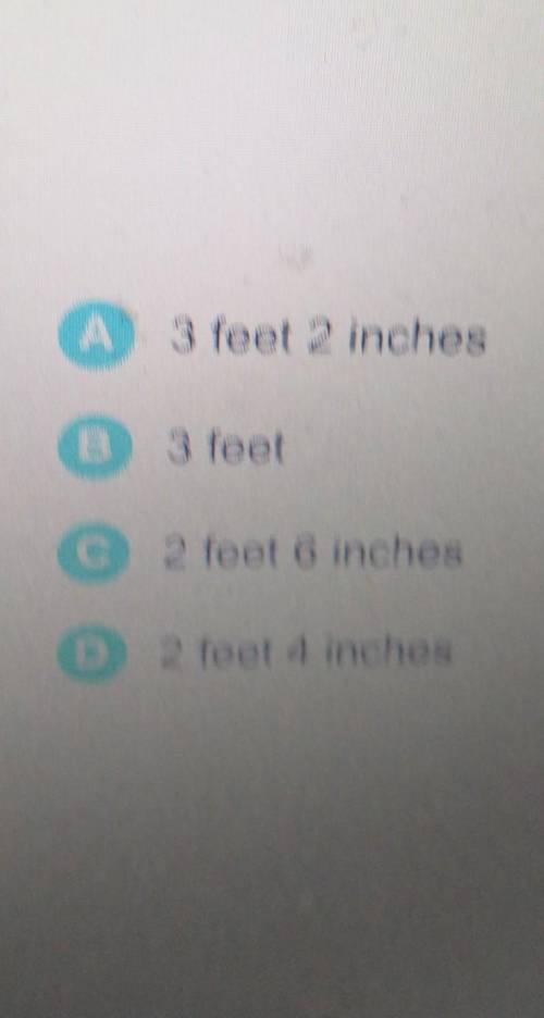 Neeta is a fourth grader. She is 4 feet 7 inches tall. When she was bom she was 17 inches long. How