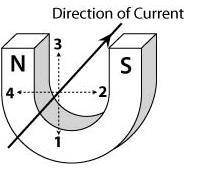 Pls help

The diagram below shows a wire carrying a current between the poles of a large horseshoe