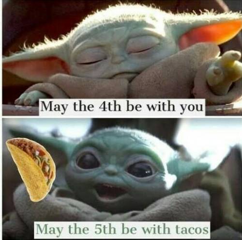 I need Cince De Mayo memes please lol

Please make sure that they are CLEAN!!
thanks, and may the 4