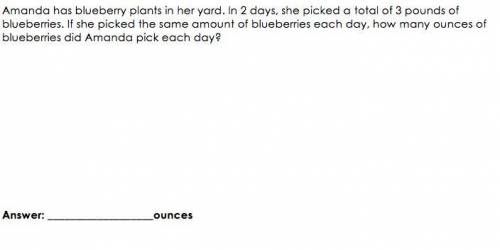 Help me with this question pls