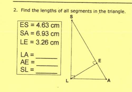 Find the length of all segments in the triangle￼
Find LA, AE, SL