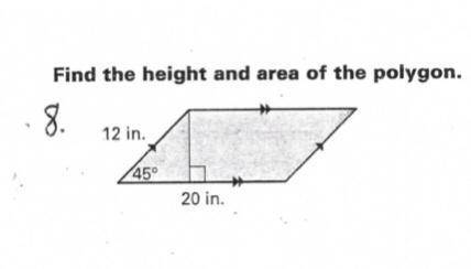 Find the height and area of the polygon.