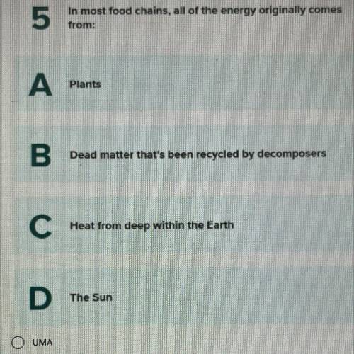 5

In most food chains, all of the energy originally comes
from:
A
Plants
B
Dead matter that's bee