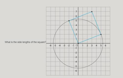 What is the side length of the square.