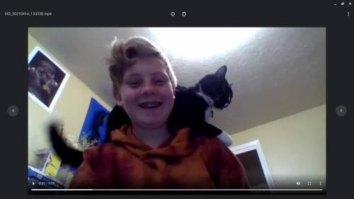 This is a screenshot of a video with my cat him is perfect. :)
