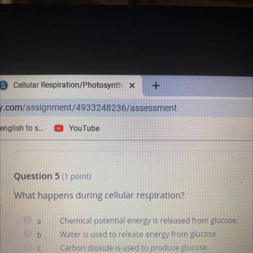 What happens during cellular respiration?
