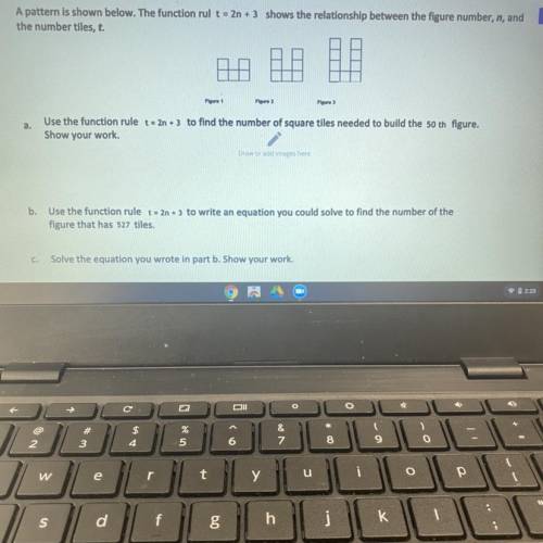 Please solve this for me :)