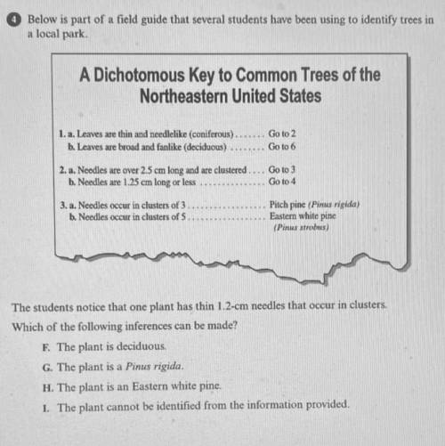 Below is part of a field guide that several students have been using to identify trees in a local p