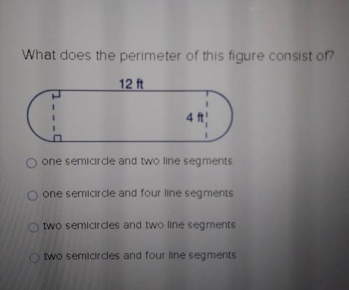 20 points!!! What does the perimeter of this figure consist of?​