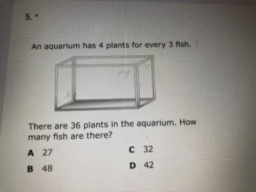 Can someone help please ?