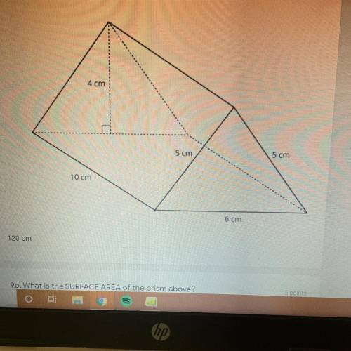 HELP PLEASE What is the SURFACE AREA of the prism?