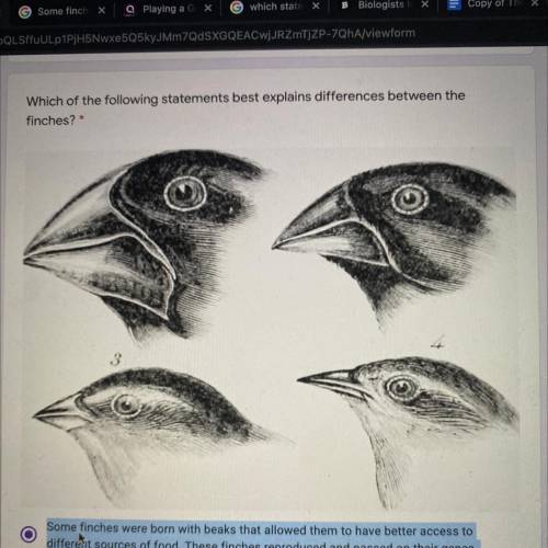 Which of the following statements best explains differences between the finches?

A. Some finches