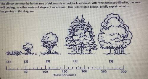 The climax community in the area of Arkansas is an oak-hickory forest. After the ponds are filled i