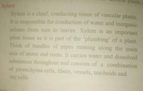 Type of cell

Xylem 1.Absorption of mineral ions2.Transport of oxygen 3.Movement of mucus 4.Protect