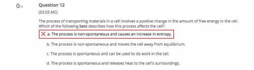 The process of transporting materials in a cell involves a positive change in the amount of free en