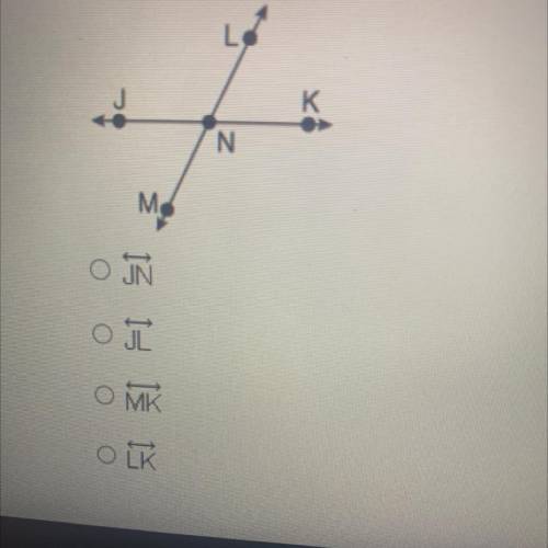 Which of the following names a line segment in the drawing?
