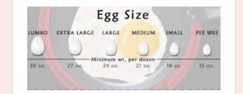 1. What does each of these dozen sets of eggs in different sizes have in common?

2. How are each