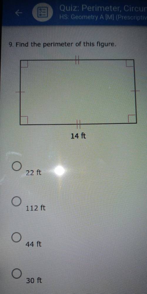 9. Find the perimeter of this figure.​
