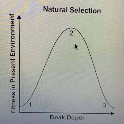 A graph here shows the average frequency of beak depth for a species of

birds in an area. There i