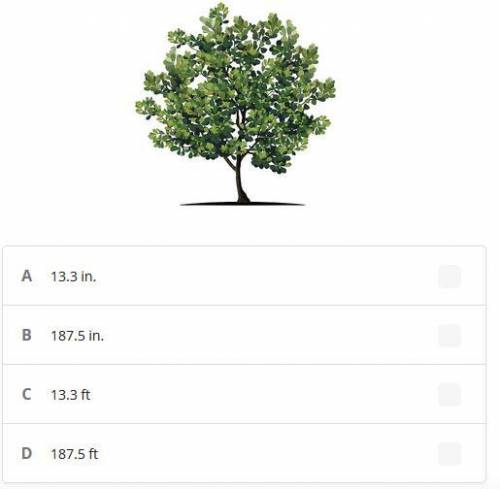 On a scale drawing, the height of a tree is 3.75 inches.

If the scale of the drawing is 1 in. : 5