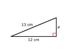 Pythagorean theorem: find the perimeter
What is the perimeter?