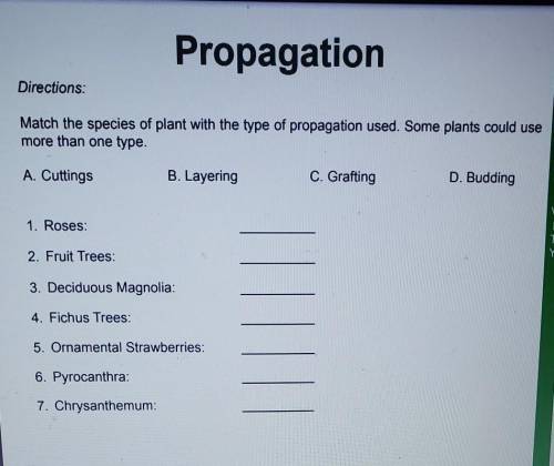 Help ASAP Please!!

Propagation Directions: Match the species of plant with the type of propagatio