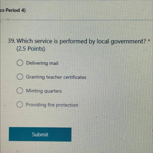 Which service is performed by local government?