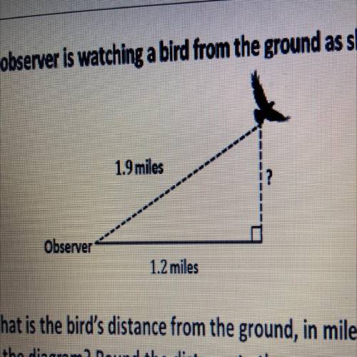 An observer is watching a bird from the ground as shown.

1.9 miles
Observer
1.2 miles
What is the