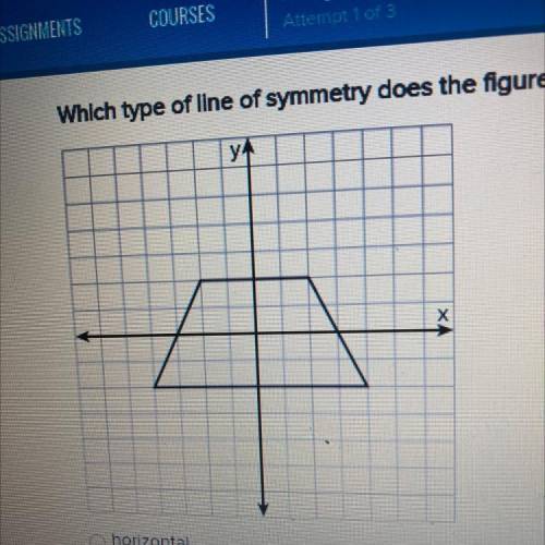 HURRY PLS

Which type of line of symmetry does the figure have?
horizontal
diagonal
none
vertical
