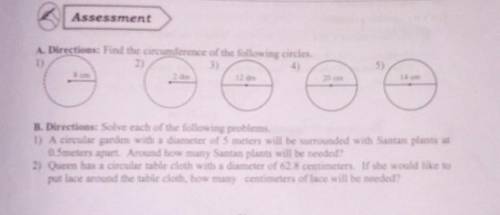 Find circumference of the following circle.​