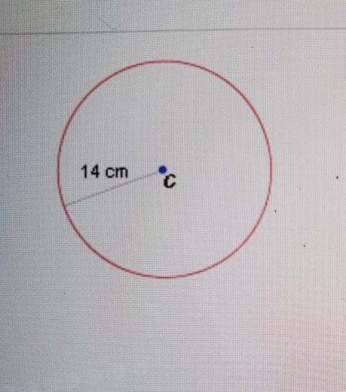 What is the approximate area of the circle shown below? A. 2460 cm2 B. 44 cm2 C. 88 cm2 D. 616 cm2​