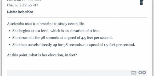 A scientist uses a submarine to study ocean life.

She begins at sea level, which is an elevation