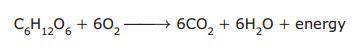 How many atoms are represented in the reactants of this equation?