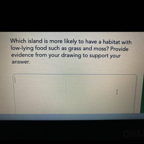 Which island is more likely to have a habitat with

low-lying food such as grass and moss? Provide