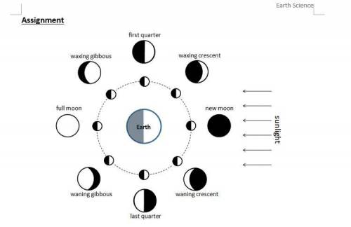 Look at the diagram of the lunar phases. Explain, in detail, how lunar phases occur.