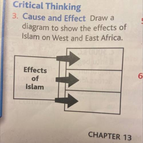 Cause and Effect Draw a
diagram to show the effects of
Islam on West and East Africa