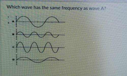 Which wave has the same frequency as wave A?​