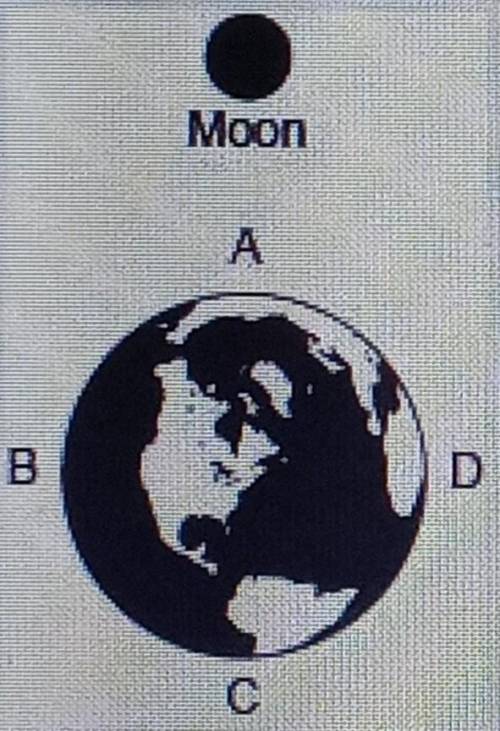 The diagram below shows four coastline locations on Earth with respect to the moon at a given time.