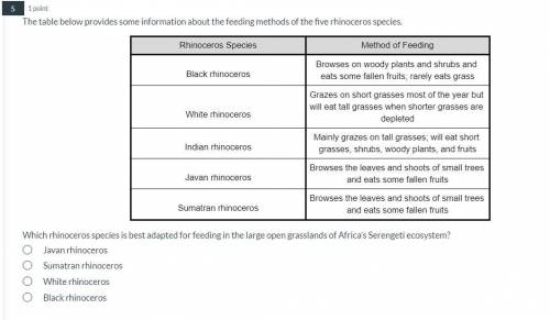 Which rhinoceros species is best adapted for feeding in the large open grasslands of Africa’s Seren