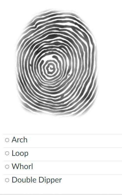 Which type of fingerprint is shown below? (attachment)