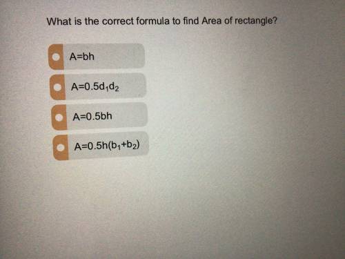 I neeed the answer fast pls