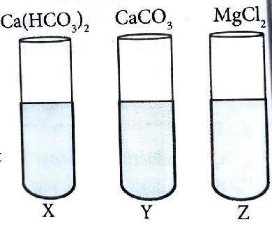 X , Y and Z are the samples of water obtained from different sources. The types of salt dissolved