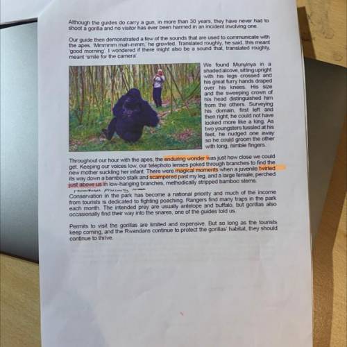Read the newspaper article 'Trekking with the Gorillas of Rwanda' (Resource A) and answer the follo