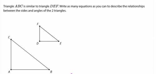 Triangle ABC is similar to triangle DEF . Write as many equations as you can to describe the relati