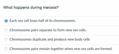 What happens during meiosis?
(Choose from 4 questions in image)