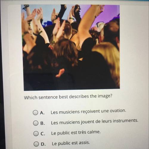 Which sentence best describes the image?

A.
Les musiciens reçoivent une ovation.
B.
Les musiciens