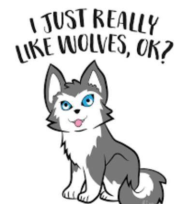 Ok would you sub to a yt chanal if it was based on anime wolves, irl wolves, wolf drawing and more?