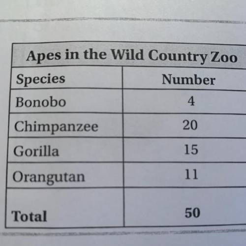 One species makes up 40% of the apes in the zoo. Which species is it?￼